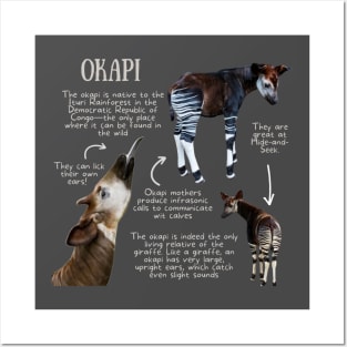 Animal Facts - Okapi Posters and Art